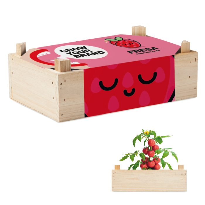 Caixa de fusta amb llavors a escollir per crear un kit de cultiu únic.